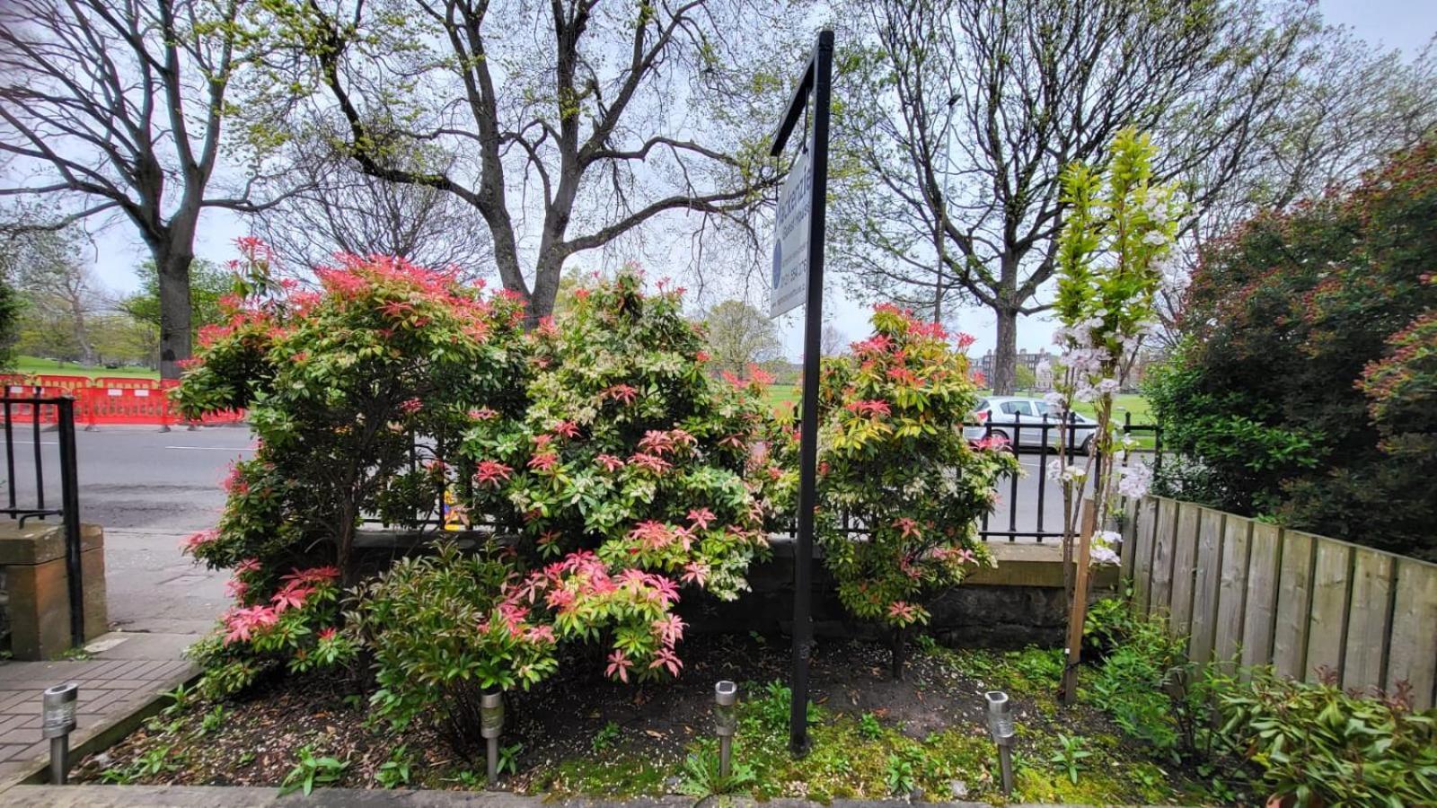 Mackenzie Guest House Эдинбург Экстерьер фото